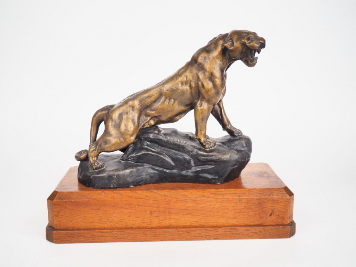 CARTIER. "Tigre rugissant".  Sculpture en régule polychrome. Dim. 24,5