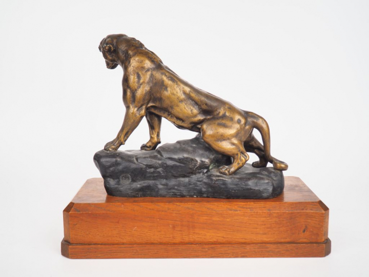 CARTIER. "Tigre rugissant".  Sculpture en régule polychrome. Dim. 24,5