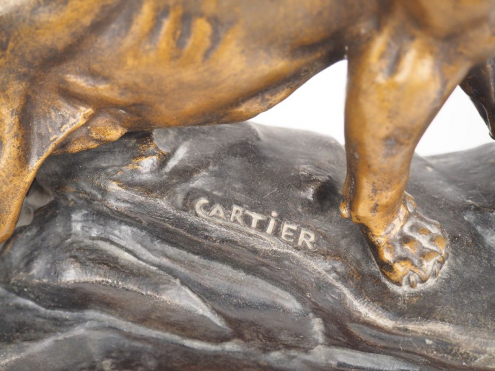 CARTIER. "Tigre rugissant".  Sculpture en régule polychrome. Dim. 24,5
