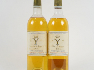Vente aux enchères 2 BOUTEILLES Y DE YQUEM BORDEAUX SUPERIEUR - 1988 - MEP