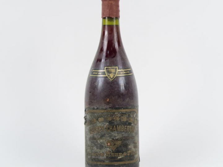 1 MAGNUM GEVREY CHAMBERTIN GC CAMUS PÈRE   FILS - 1988 - EA/CAPS CIRE 