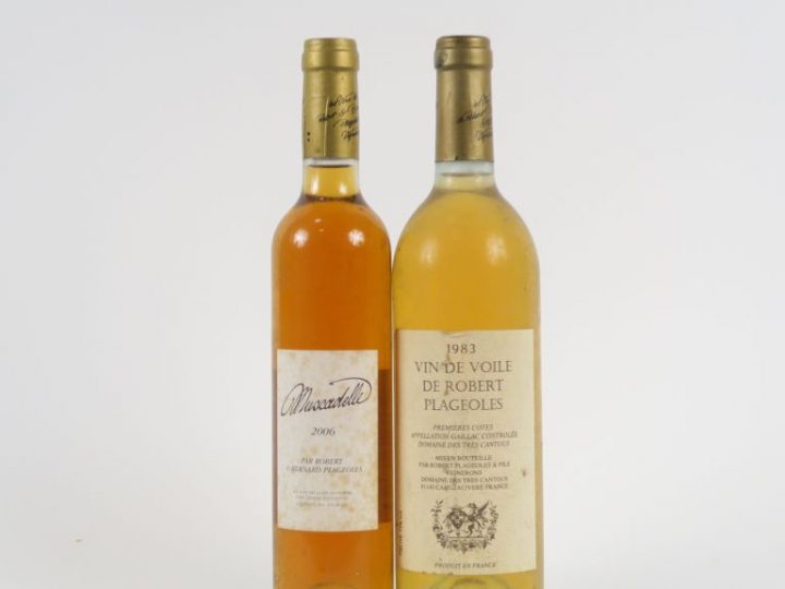 2 BOUTEILLES PLAGEOLLES : 1 VIN DE VOILE 1983 - 1 MUSCADELLE 2006 (50 
