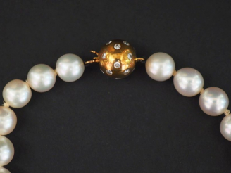 Vente aux enchères Collier de perles de culture ras de cou. Fermoir en forme de boule en 