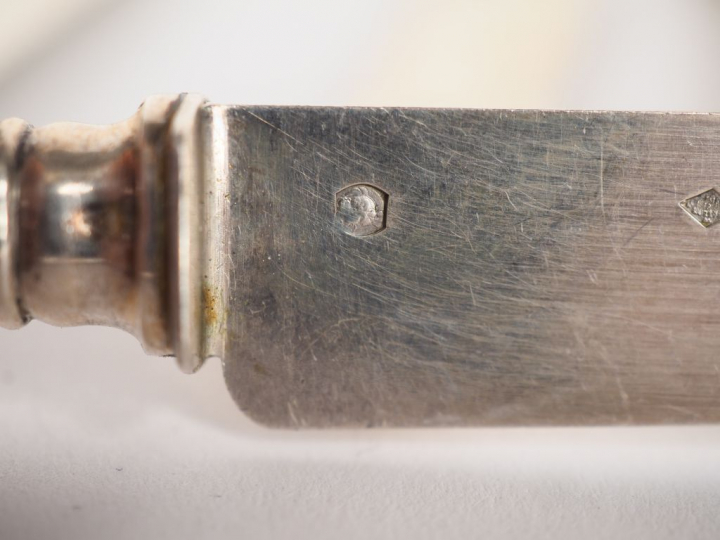 Suite de douze couteaux à fruits de style Louis XVI, lame argent poinç