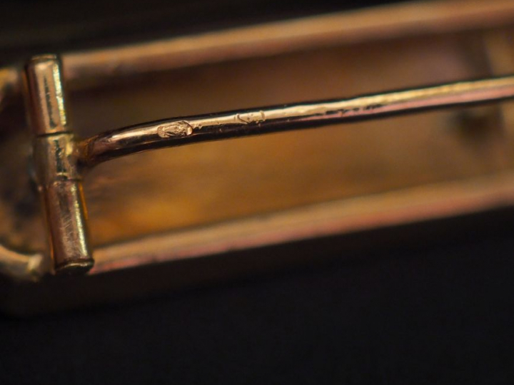 Broche barrette Napoléon III deux tons d'or, à décor de branchage fleu