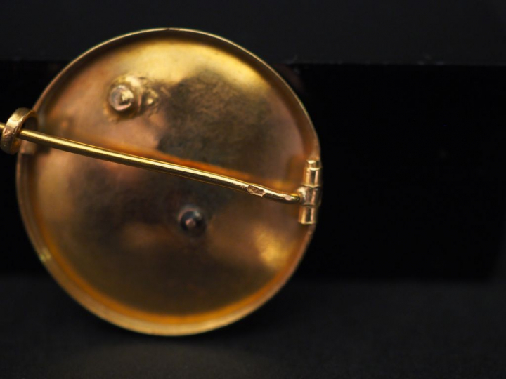 Broche circulaire Napoléon III en or jaune, à décor d'une mouche et de