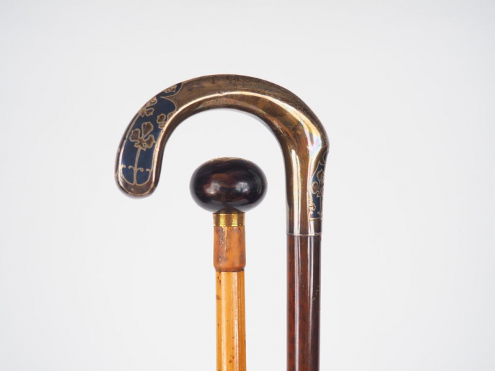 Ensemble comprenant deux différentes cannes dont :  - une canne Napolé