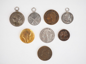 Vente aux enchères Lot de huit médailles françaises en bronze ou argent. Poids. 60 g