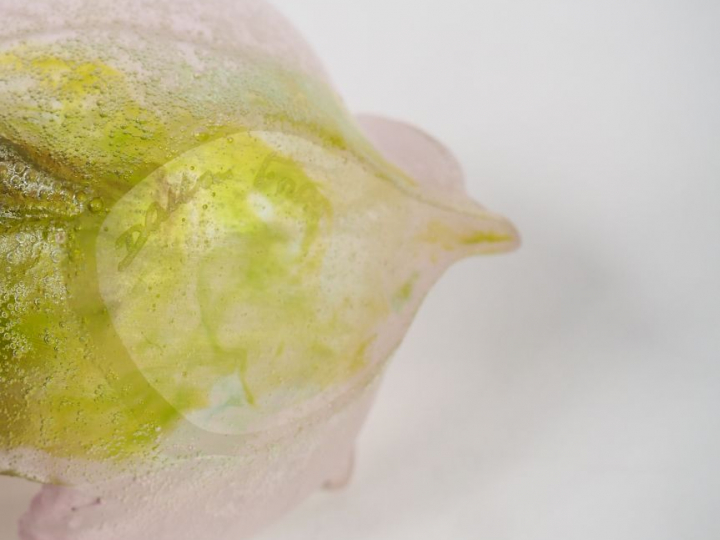 DAUM. Coupelle en pâte de verre mauve et verte, à décor de fleurs.  Si