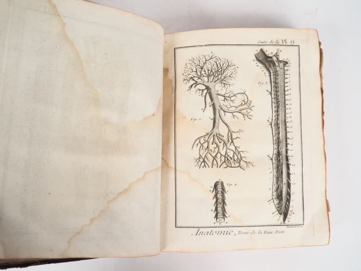 JOURNAL DE PHYSIQUE. Tome XXX et XXXI. Observations et Mémoires sur la