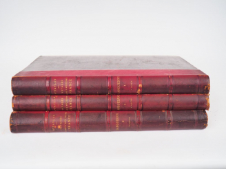 Vente aux enchères NODIER (Ch.). TAYLOR (J), et de CAILLEUX (Alph). Voyages pittoresques 