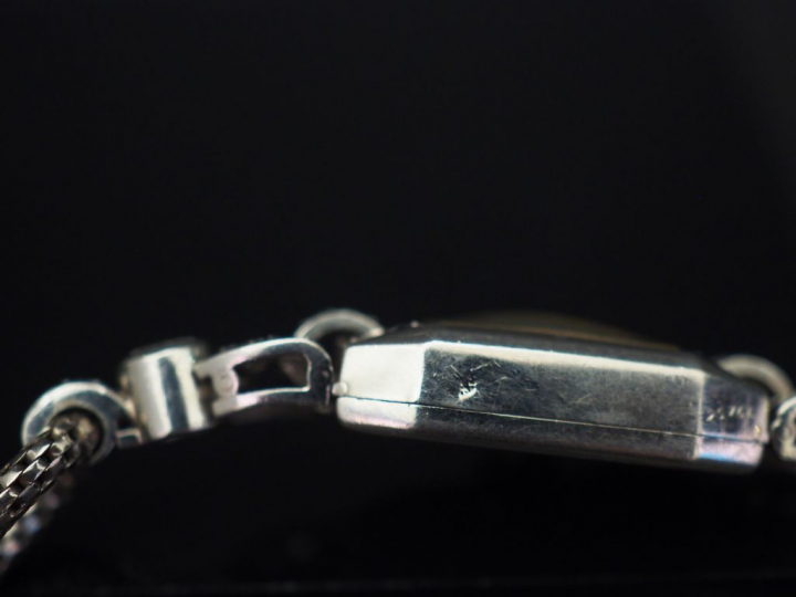 Paul GARNIER Montre bracelet de dame Art déco, boitier en platine sert