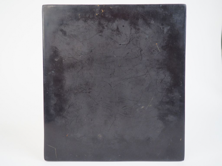 Ecole de Hanoï. Panneau de laque "Portrait de jeune fille Moï en tenue