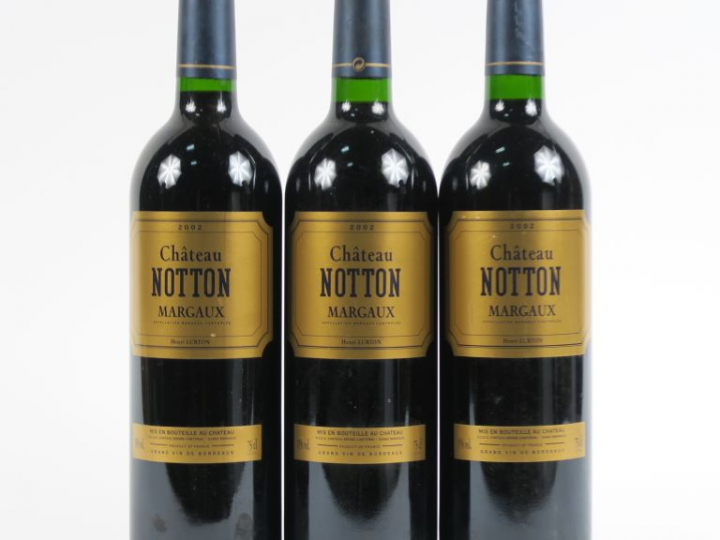 3 BOUTEILLES CHÂTEAU NOTTON MARGAUX - 2002
