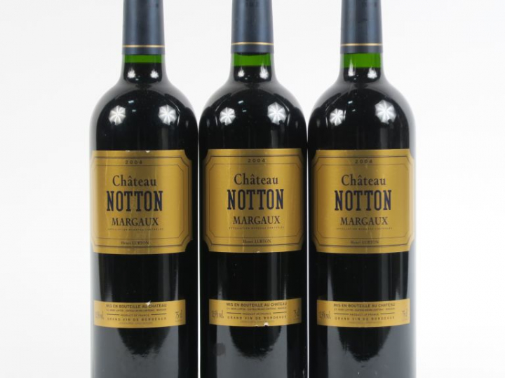 3 BOUTEILLES CHÂTEAU NOTTON MARGAUX - 2004