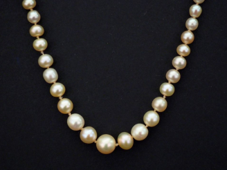 Vente aux enchères Collier de perles blanches disposées en chute.  Fermoir en or jaune, s