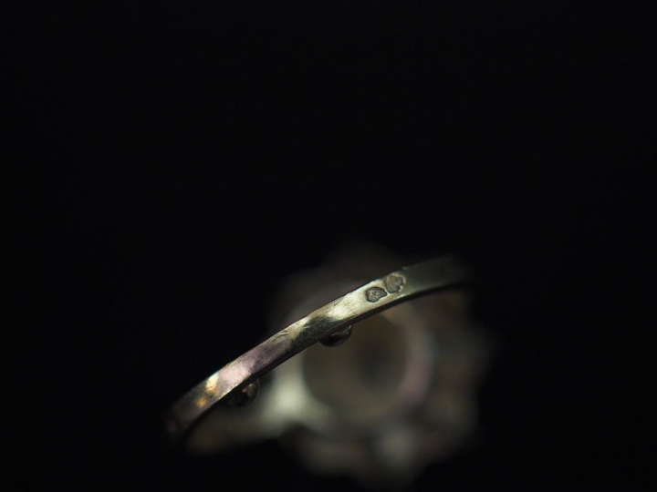 Bague en platine et or blanc, sertie en son centre d'un diamant taille