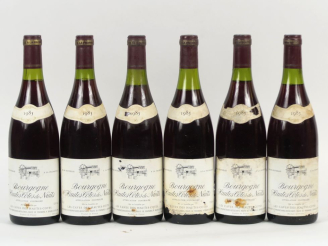 Vente aux enchères 6 BOUTEILLES BOURGOGNE HAUTES CÔTES DE NUITS LES CAVES DE HAUTES COTES