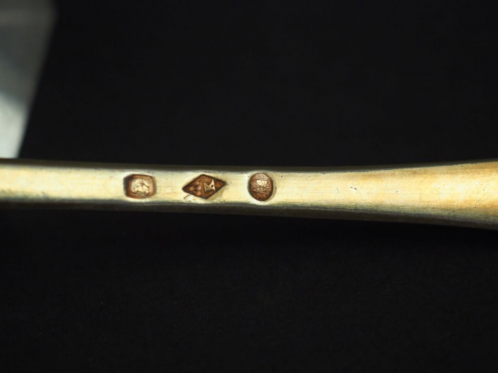 Cuillère à saupoudrer en vermeil, à décor de branchage.  Long. 22,5 cm