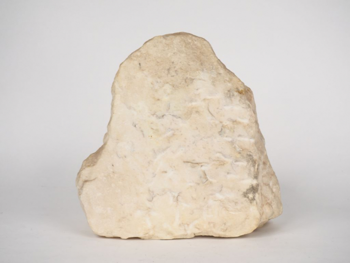 Ecole française vers 1900. "Jeune fille de profil" Sculpture en albâtr