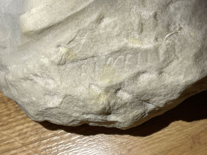 Ecole française vers 1900. "Jeune fille de profil" Sculpture en albâtr