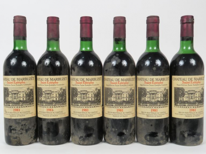 6 BOUTEILLES CHÂTEAU DE MARBUZET ST ESTEPHE - 1981 - 1 BG/4 LB/1 HEP