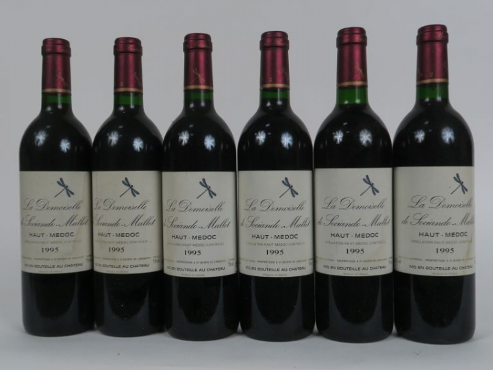 6 BOUTEILLES LA DEMOISELLE DE SOCIANDO MALLET - 1995 - 1 BG