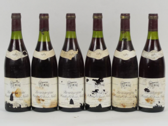 Vente aux enchères 6 BOUTEILLES BOURGOGNE HAUTES CÔTES DE NUITS LES CAVES DE HAUTES COTES