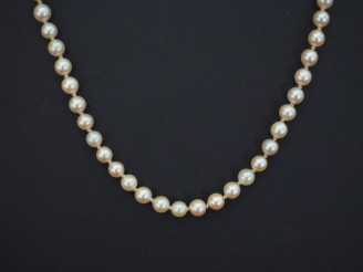 Vente aux enchères Collier de perles blanches.  Chainette de sécurité en or jaune.  Fermo