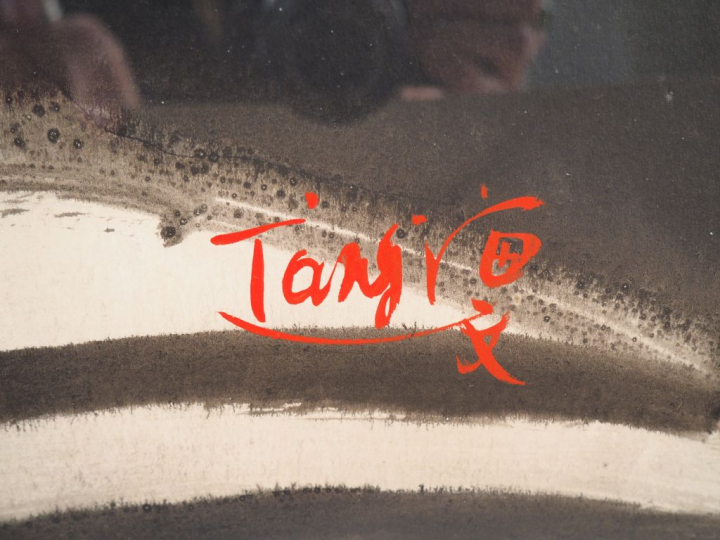 T'ANG AYWEN. "composition abstraite" Encre sur papier signée en bas à 