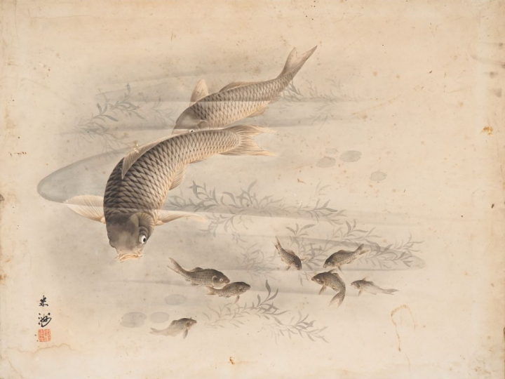 Japon, XXe siècle, Encre aquarellée sur papier représentant des carpes