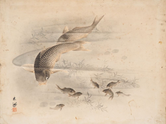 Vente aux enchères Japon, XXe siècle, Encre aquarellée sur papier représentant des carpes