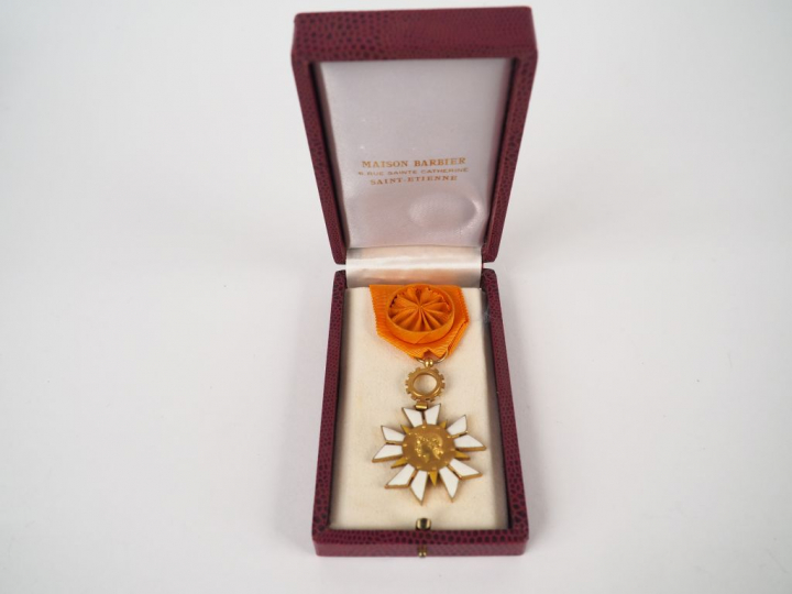 Boite contenant une étoile d’officier en bronze doré et branche émaill