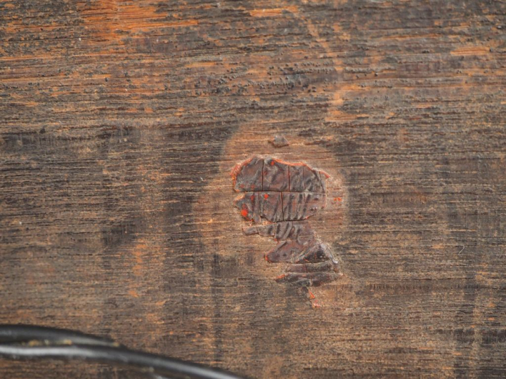 Dans le gout de Dirk Hals. "La leçon de musique". Panneau Hauteur : 67