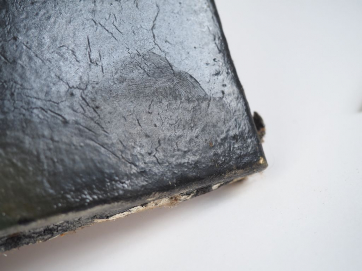 Cristobal TORAL. "Manzanas". Huile sur toile, signée en bas à droite. 