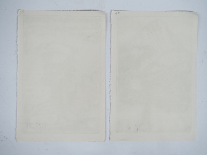 Jean-pierre PINCEMIN.  "Arbres" 2 eaux-fortes, signées en bas à droite