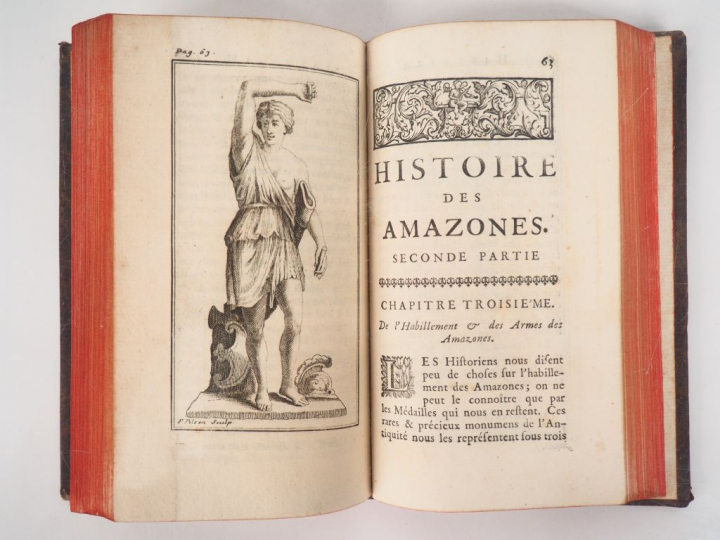 GUYON (Abbé Cl.-M.). HISTOIRE DES AMAZONES ANCIENNES ET MODERNES, enri