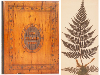 Vente aux enchères [HERBIER]. NEW ZEALAND FERNS. Prepared and mounted by T. Cranwell, Par