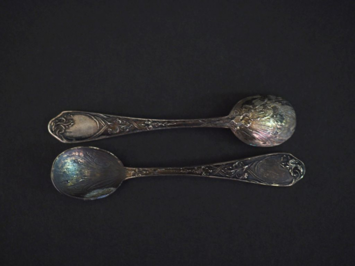 Paire de salerons Art Nouveau en argent poinçon Minerve, à décor de fe