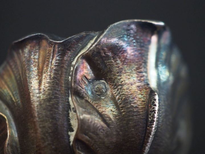 Paire de salerons Art Nouveau en argent poinçon Minerve, à décor de fe