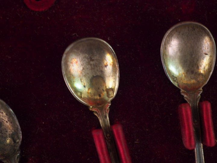 Suite de 6 salerons Napoléon III de style Louis XVI avec leurs pelles 