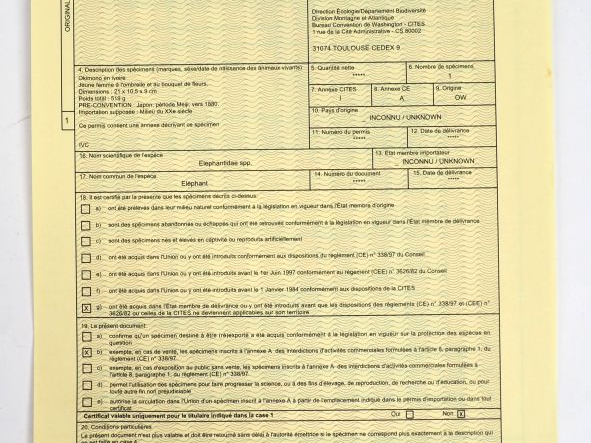 Okimono en ivoire Jeune femme à l'ombrelle et au bouquet de fleurs. El