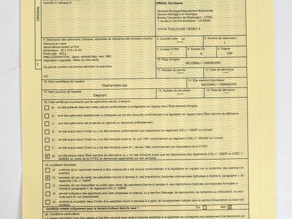 Okimono en ivoire Elephantidae spp. Jeune femme tenant un fruit Dimens