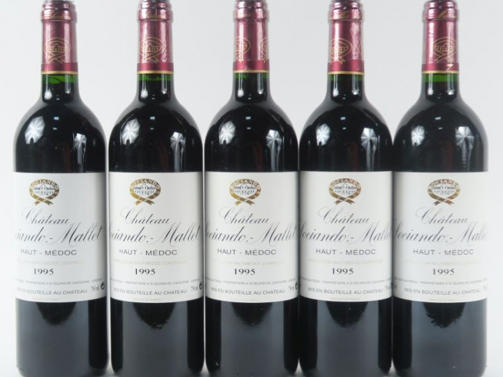 5 BOUTEILLES CHÂTEAU SOCIANDO MALLET HAUT MEDOC - 1995