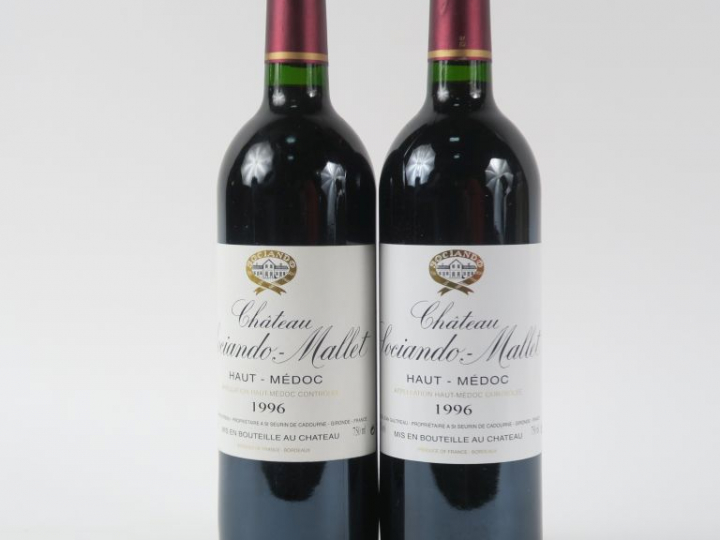 2 BOUTEILLES CHÂTEAU SOCIANDO MALLET HAUT MEDOC - 1996