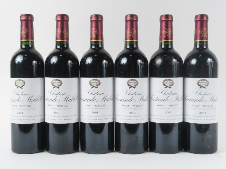 6 BOUTEILLES CHÂTEAU SOCIANDO MALLET HAUT MÉDOC - 2001