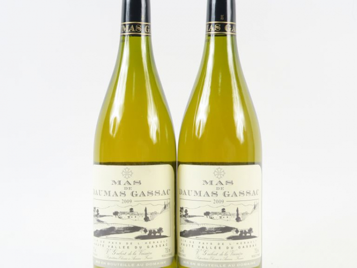 2 BOUTEILLES MAS DE DAUMAS GASSAC BLANC - 2009