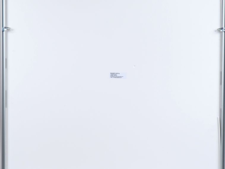 Andy WARHOL.  "Fleurs". Impression en couleur. Published by Sunday by 