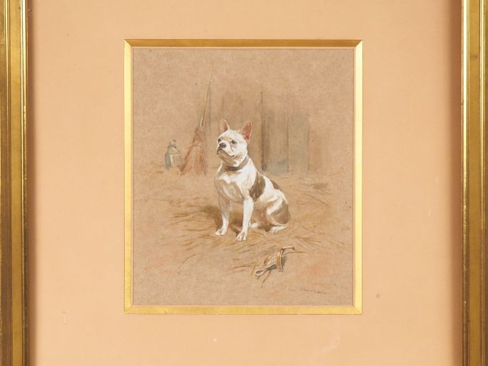 Ecole française XXème. "Bouledogue". Aquarelle gouachée, signée en bas