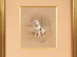 Vente aux enchères Ecole française XXème. "Bouledogue". Aquarelle gouachée, signée en bas